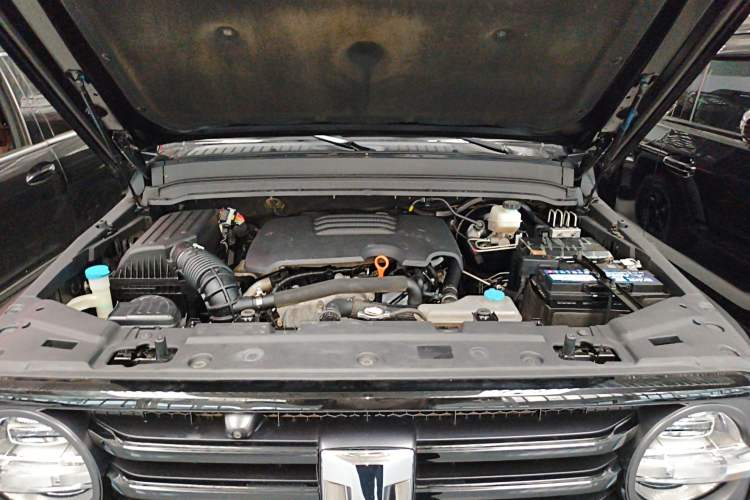 Used Tank 300 2021 Off-Road Edition 2.0T Conqueror Engine Bay