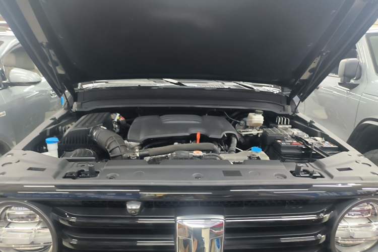 Used Tank 300 2021 Off-Road Edition 2.0T Conqueror Engine Bay