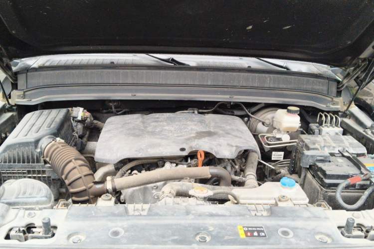 Used Tank 300 2021 Off-Road Edition 2.0T Conqueror Engine Bay
