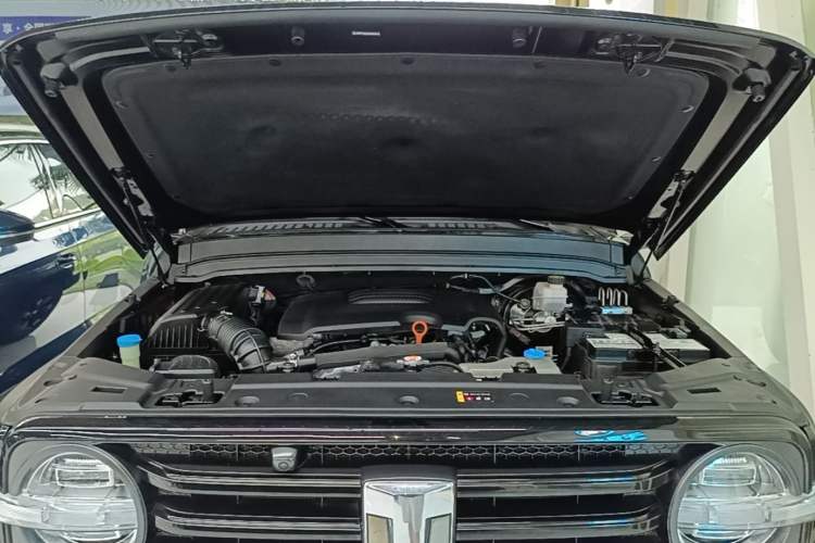 Used Tank 300 2021 Off-Road Edition 2.0T Conqueror Engine Bay