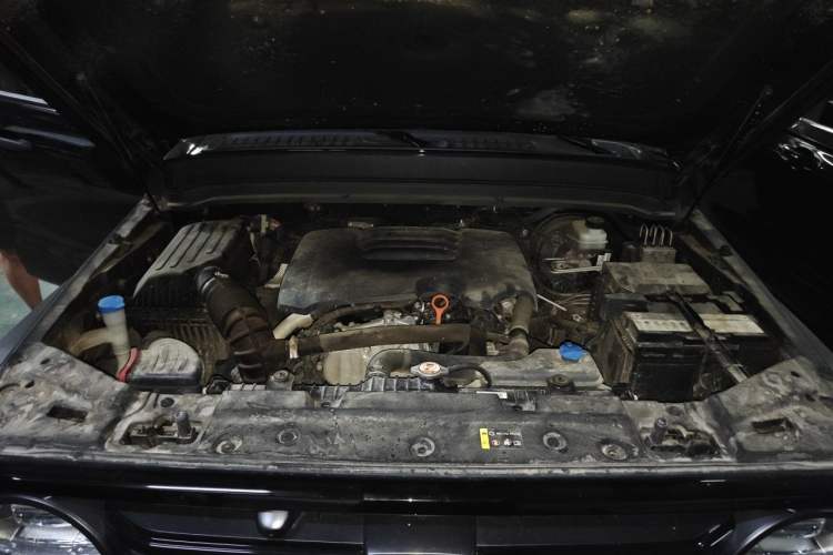 Used Tank 300 2021 Off-Road Edition 2.0T Conqueror Engine Bay