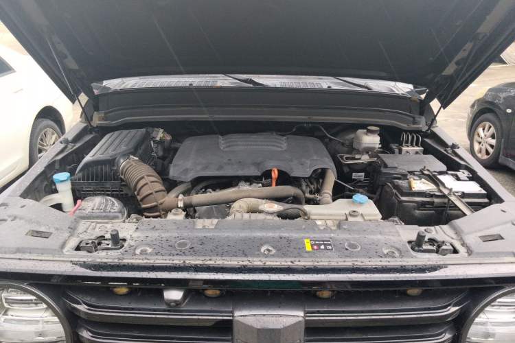 Used Tank 300 2021 Off-Road Edition 2.0T Conqueror Engine Bay