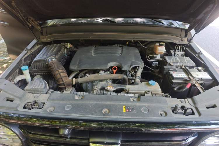 Used Tank 300 2021 Off-Road Edition 2.0T Conqueror Engine Bay