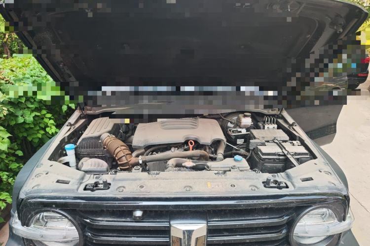 Used Tank 300 2021 Off-Road Edition 2.0T Conqueror Engine Bay