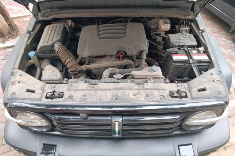 Used Tank 300 2021 Off-Road Edition 2.0T Conqueror Engine Bay