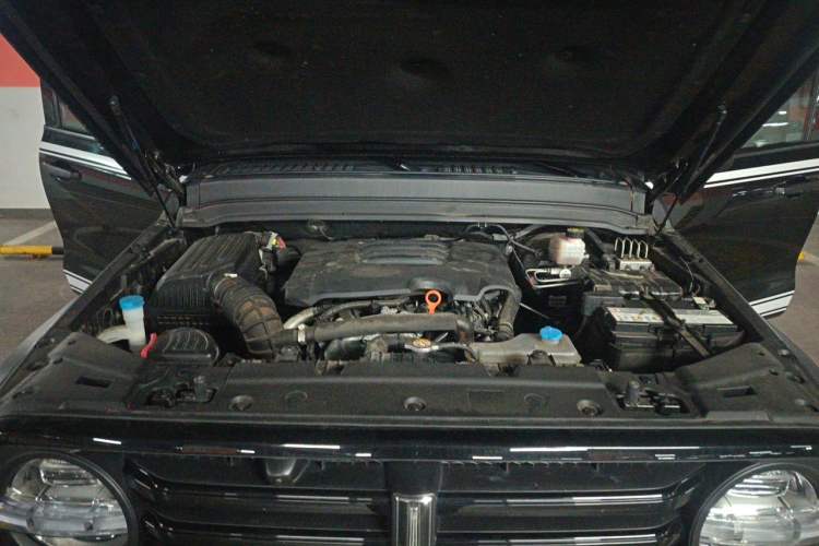 Used Tank 300 2021 Off-Road Edition 2.0T Conqueror Engine Bay