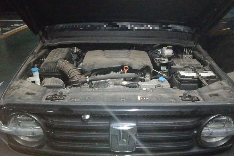 Used Tank 300 2021 Off-Road Edition 2.0T Challenger Engine Bay
