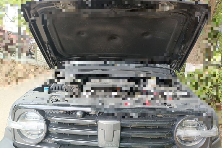 Used Tank 300 2021 Off-Road Edition 2.0T Conqueror Engine Bay