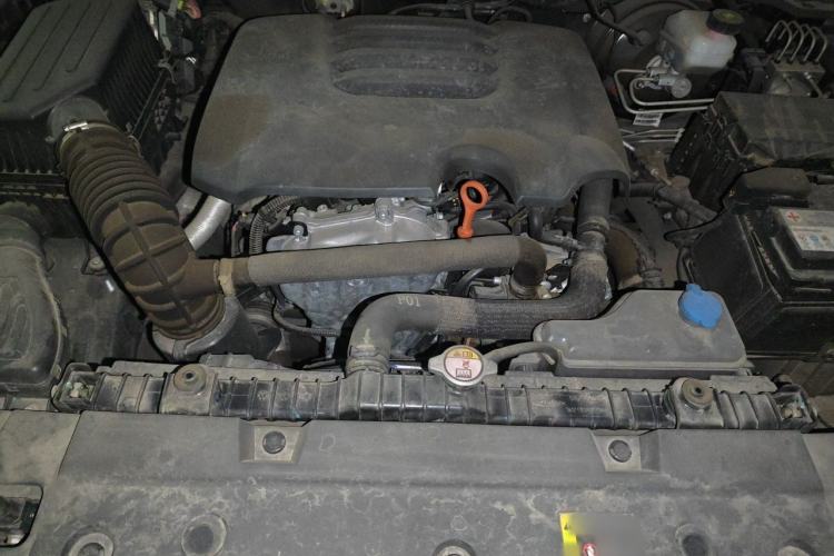 Used Tank 300 2021 Off-Road Edition 2.0T Conqueror Engine Bay