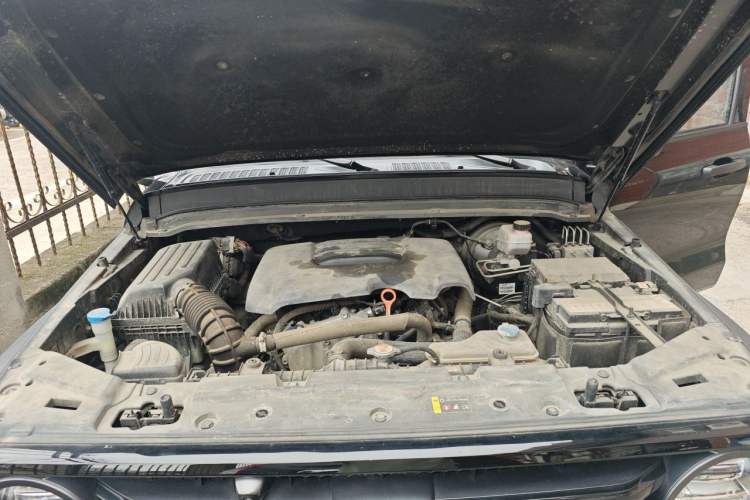 Used Tank 300 2021 Off-Road Edition 2.0T Conqueror Engine Bay
