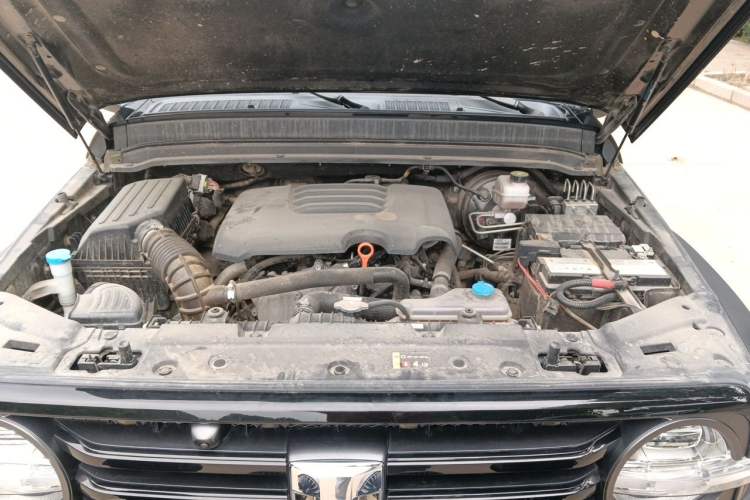 Used Tank 300 2021 Off-Road Edition 2.0T Conqueror Engine Bay