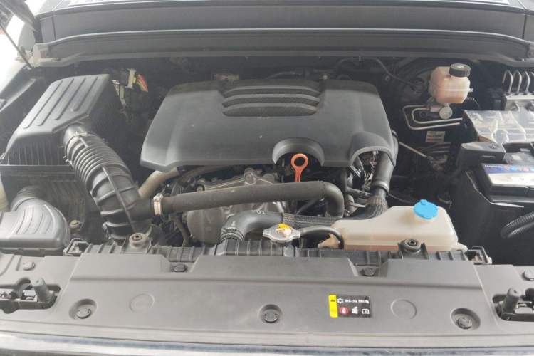 Used Tank 300 2021 Off-Road Edition 2.0T Conqueror Engine Bay