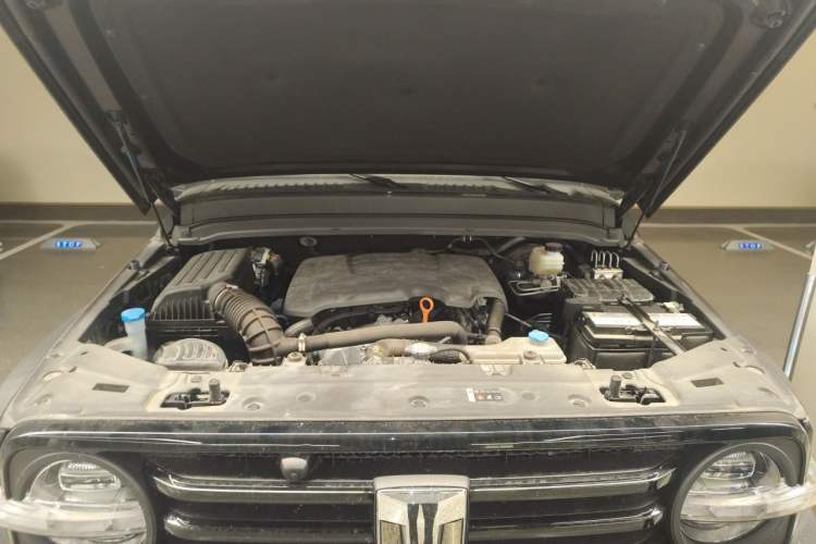 Used Tank 300 2021 Off-Road Edition 2.0T Conqueror Engine Bay
