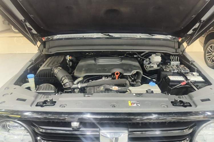 Used Tank 300 2021 Off-Road Edition 2.0T Conqueror Engine Bay