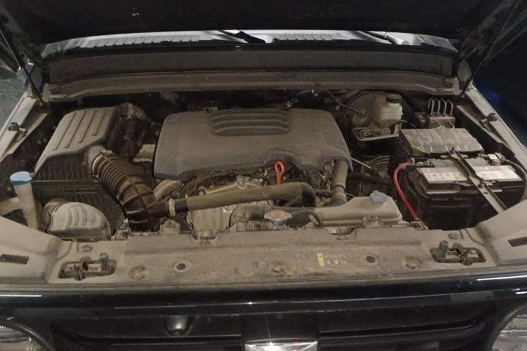 Used Tank 300 2021 Off-Road Edition 2.0T Conqueror Engine Bay