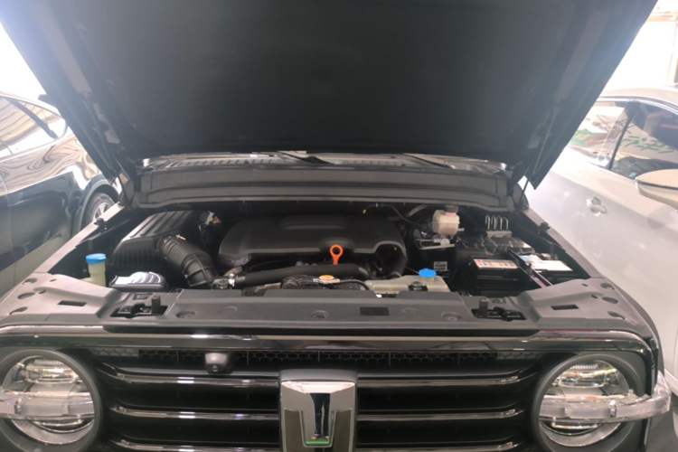 Used Tank 300 2021 Off-Road Edition 2.0T Conqueror Engine Bay