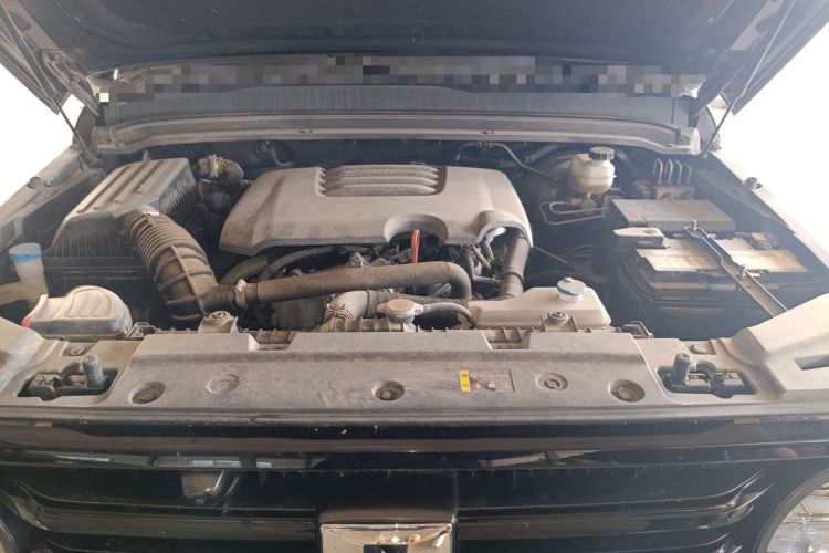 Used Tank 300 2021 Off-Road Edition 2.0T Conqueror Engine Bay
