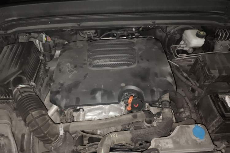 Used Tank 300 2021 Off-Road Edition 2.0T Conqueror Engine Bay