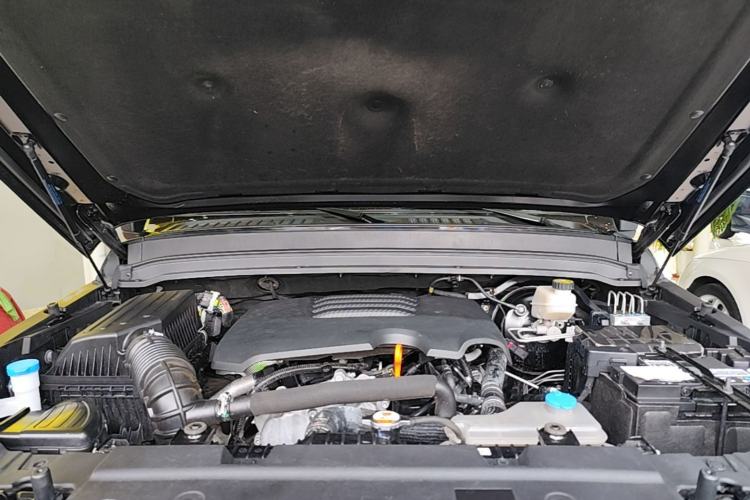 Used Tank 300 2021 Off-Road Edition 2.0T Conqueror Engine Bay