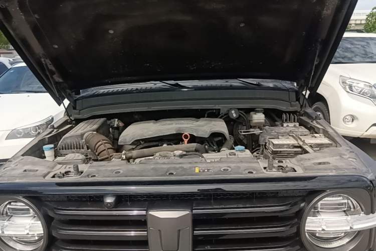 Used Tank 300 2021 Off-Road Edition 2.0T Conqueror Engine Bay