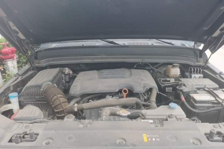 Used Tank 300 2021 Off-Road Edition 2.0T Conqueror Engine Bay