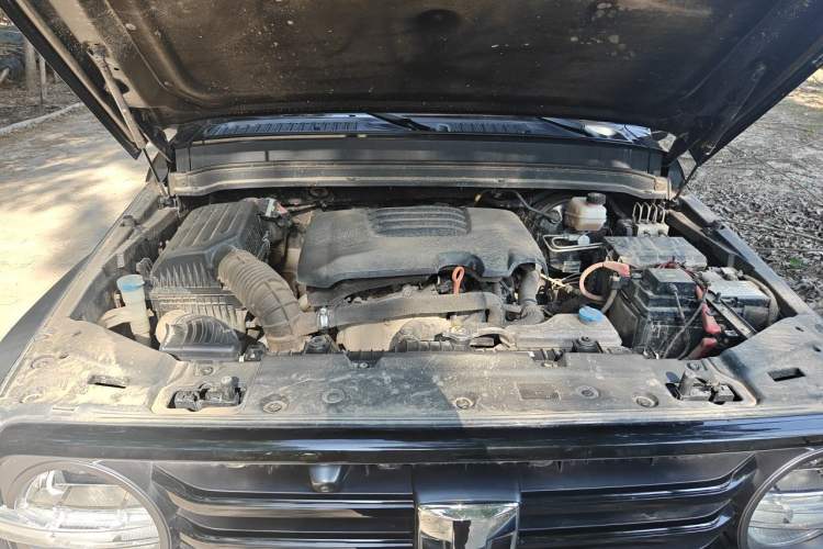Used Tank 300 2021 Off-Road Edition 2.0T Conqueror Engine Bay