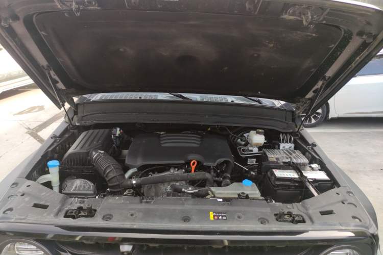 Used Tank 300 2021 Off-Road Edition 2.0T Conqueror Engine Bay