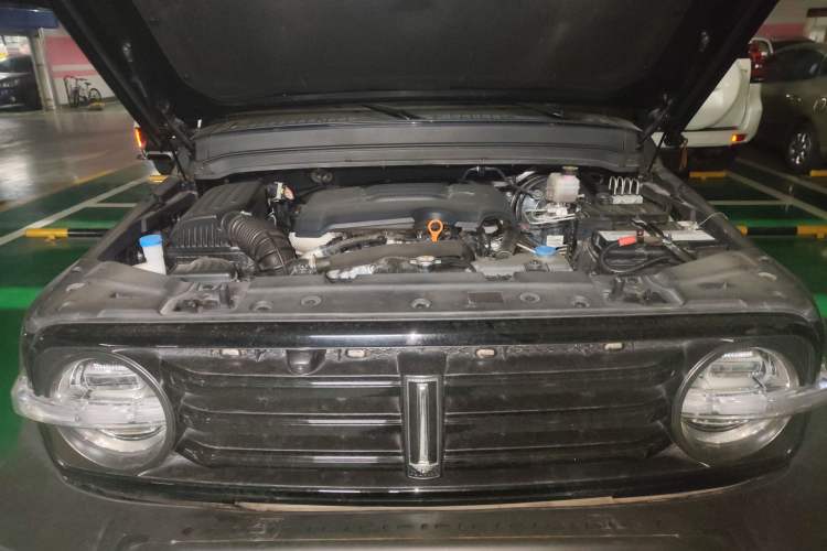Used Tank 300 2021 Off-Road Edition 2.0T Conqueror Engine Bay
