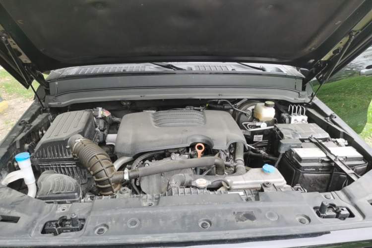 Used Tank 300 2021 Off-Road Edition 2.0T Conqueror Engine Bay