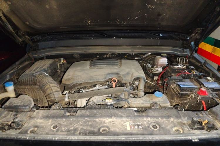 Used Tank 300 2021 Off-Road Edition 2.0T Conqueror Engine Bay