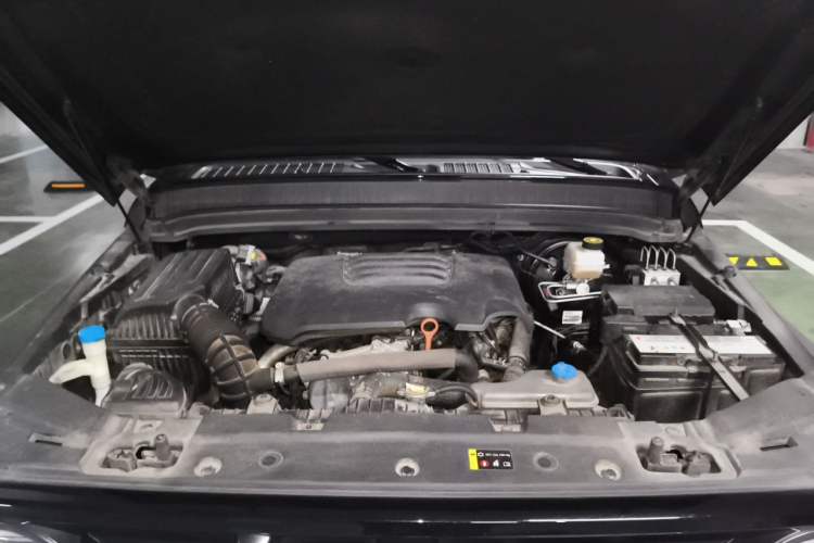 Used Tank 300 2021 Off-Road Edition 2.0T Conqueror Engine Bay