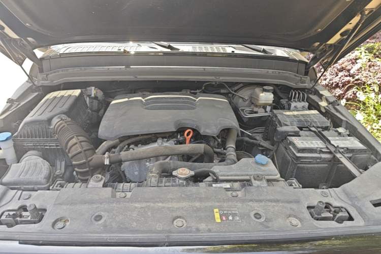 Used Tank 300 2021 Off-Road Edition 2.0T Challenger Engine Bay