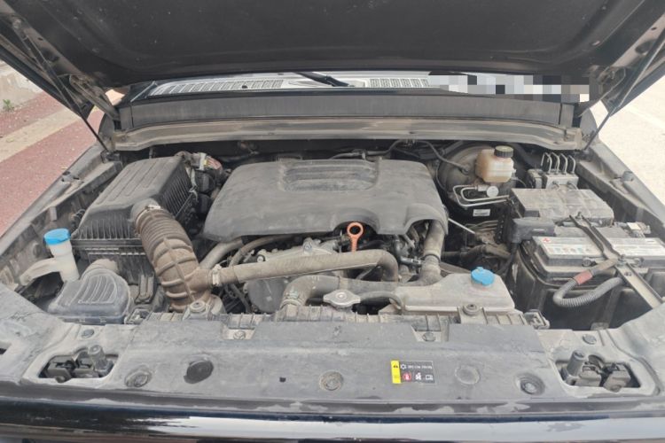 Used Tank 300 2021 Off-Road Edition 2.0T Conqueror Engine Bay