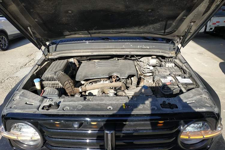 Used Tank 300 2021 Off-Road Edition 2.0T Conqueror Engine Bay