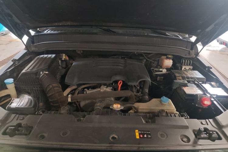 Used Tank 300 2021 Off-Road Edition 2.0T Conqueror Engine Bay