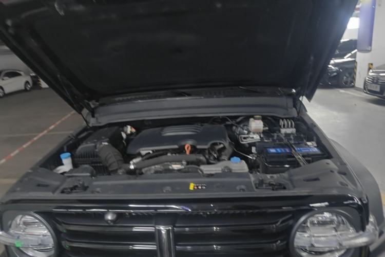 Used Tank 300 2021 Off-Road Edition 2.0T Conqueror Engine Bay