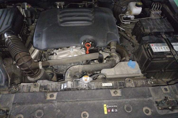 Used Tank 300 2021 Off-Road Edition 2.0T Conqueror Engine Bay