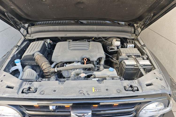 Used Tank 300 2021 Off-Road Edition 2.0T Conqueror Engine Bay
