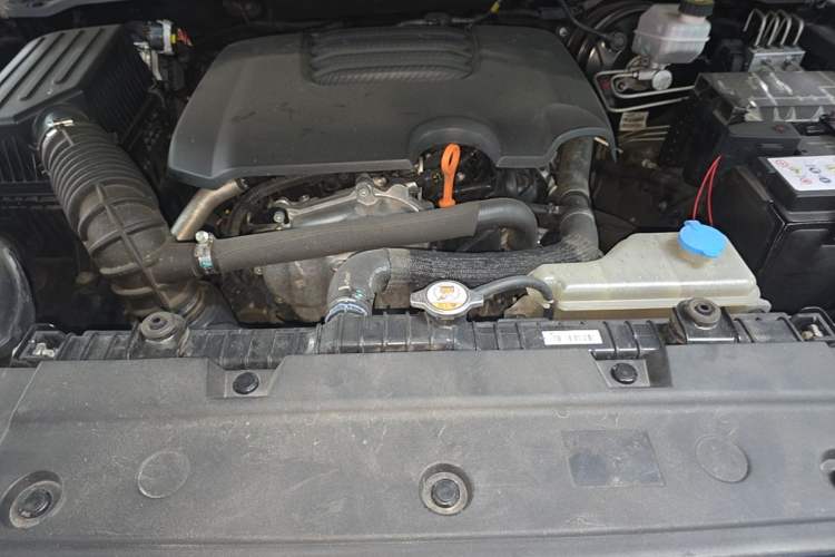 Used Tank 300 2021 Off-Road Edition 2.0T Conqueror Engine Bay