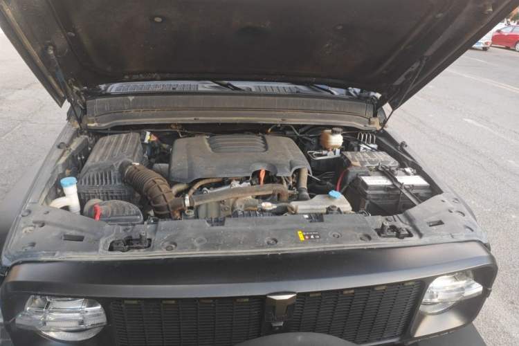 Used Tank 300 2021 Off-Road Edition 2.0T Conqueror Engine Bay