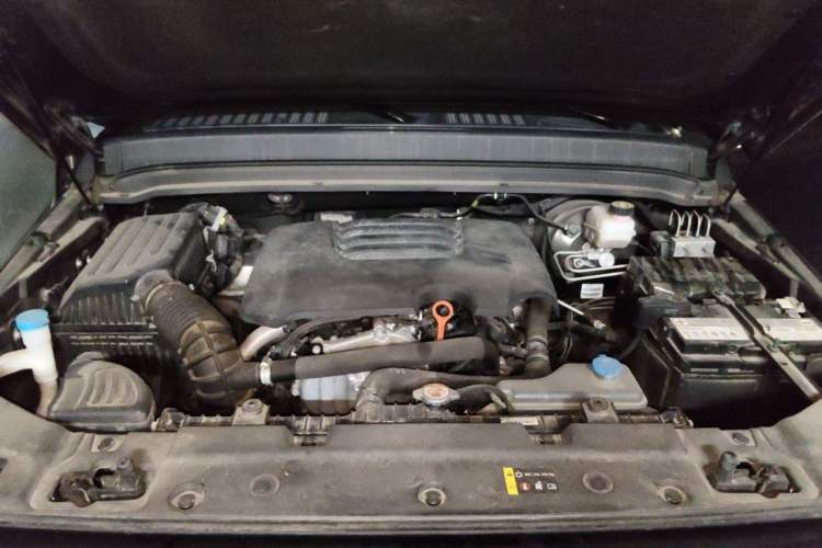 Used Tank 300 2021 Off-Road Edition 2.0T Conqueror Engine Bay