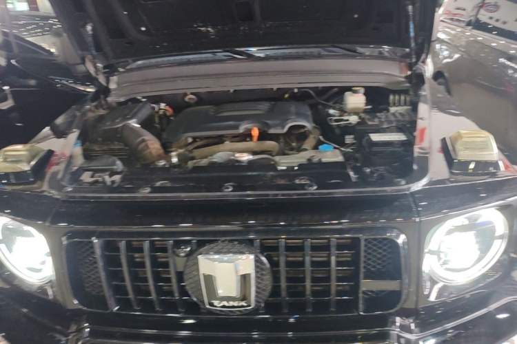 Used Tank 300 2021 Off-Road Edition 2.0T Conqueror Engine Bay