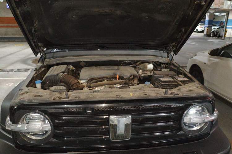 Used Tank 300 2021 Off-Road Edition 2.0T Conqueror Engine Bay