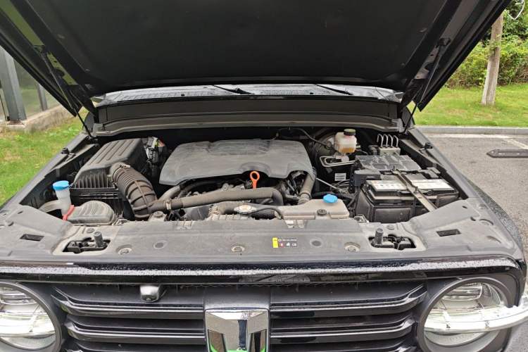 Used Tank 300 2021 Off-Road Edition 2.0T Conqueror Engine Bay