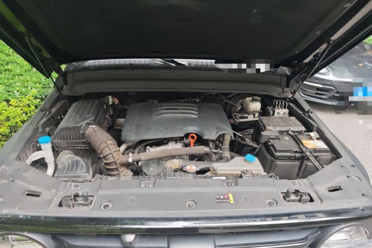 Used Tank 300 2021 Off-Road Edition 2.0T Conqueror Engine Bay