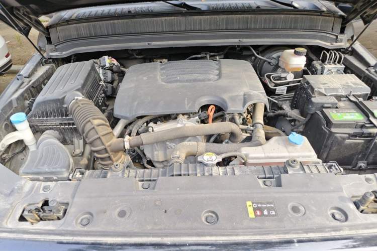 Used Tank 300 2021 Off-Road Edition 2.0T Conqueror Engine Bay
