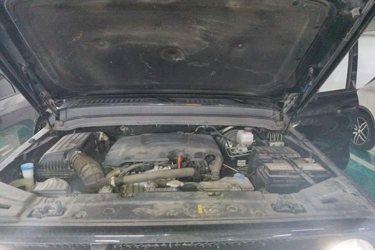 Used Tank 300 2021 Off-Road Edition 2.0T Conqueror Engine Bay