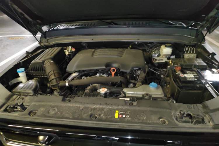 Used Tank 300 2021 City Edition 2.0T Essential Model Engine Bay