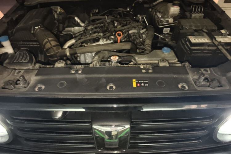 Used Tank 300 2021 Explorer 2.0T Off-Road Edition Engine Bay