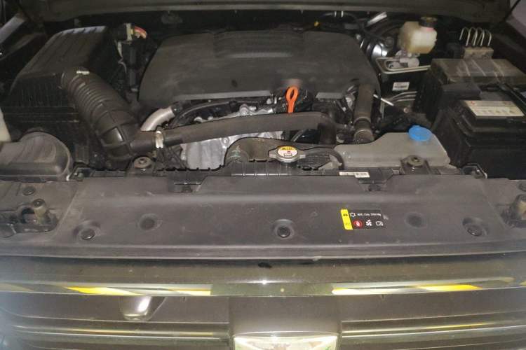 Used Tank 300 2021 Off-Road Edition 2.0T Conqueror Engine Bay